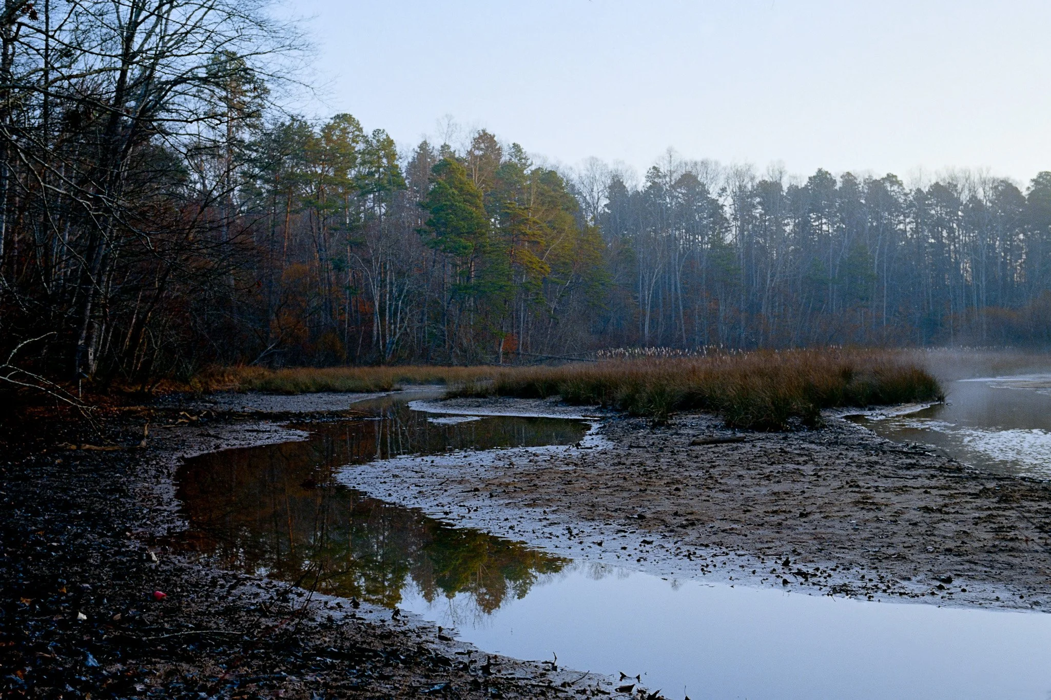 A peaceful riverbank scene with leafless trees, grass, and a foggy atmosphere.