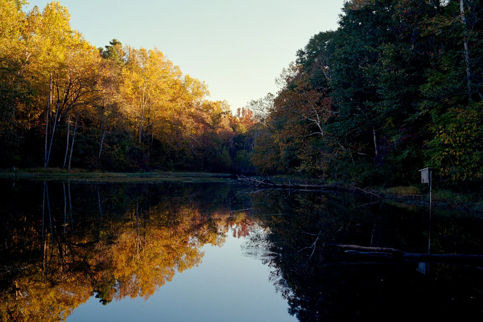 A peaceful river surrounded by trees with autumn foliage, their reflections visible on the water, and a small sign on the riverbank.