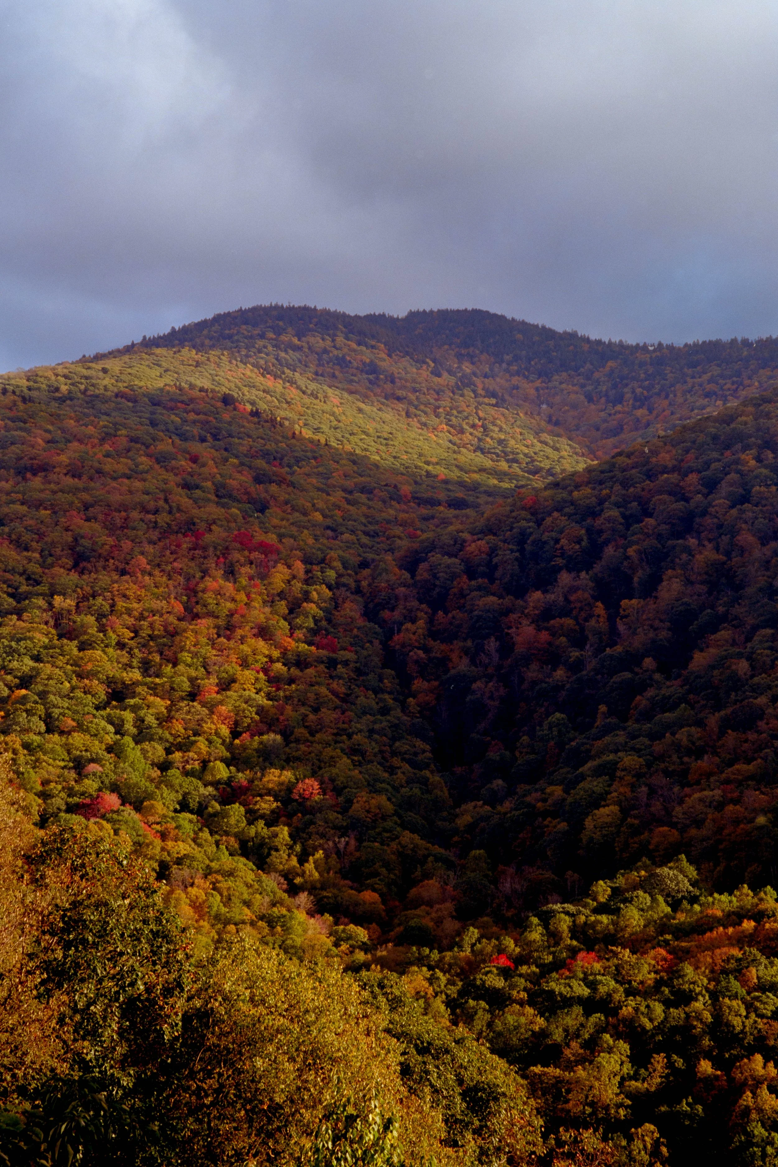 A landscape of mountains covered in colorful autumn trees with a cloudy sky overhead.