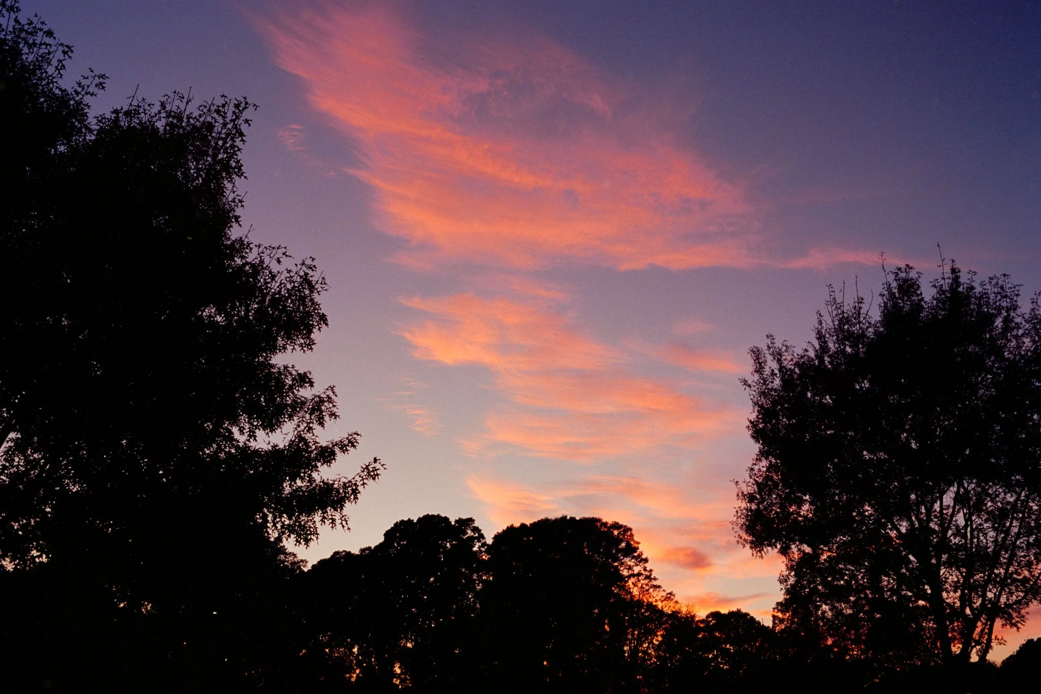 Sunset sky with pink and orange clouds and silhouette of trees.