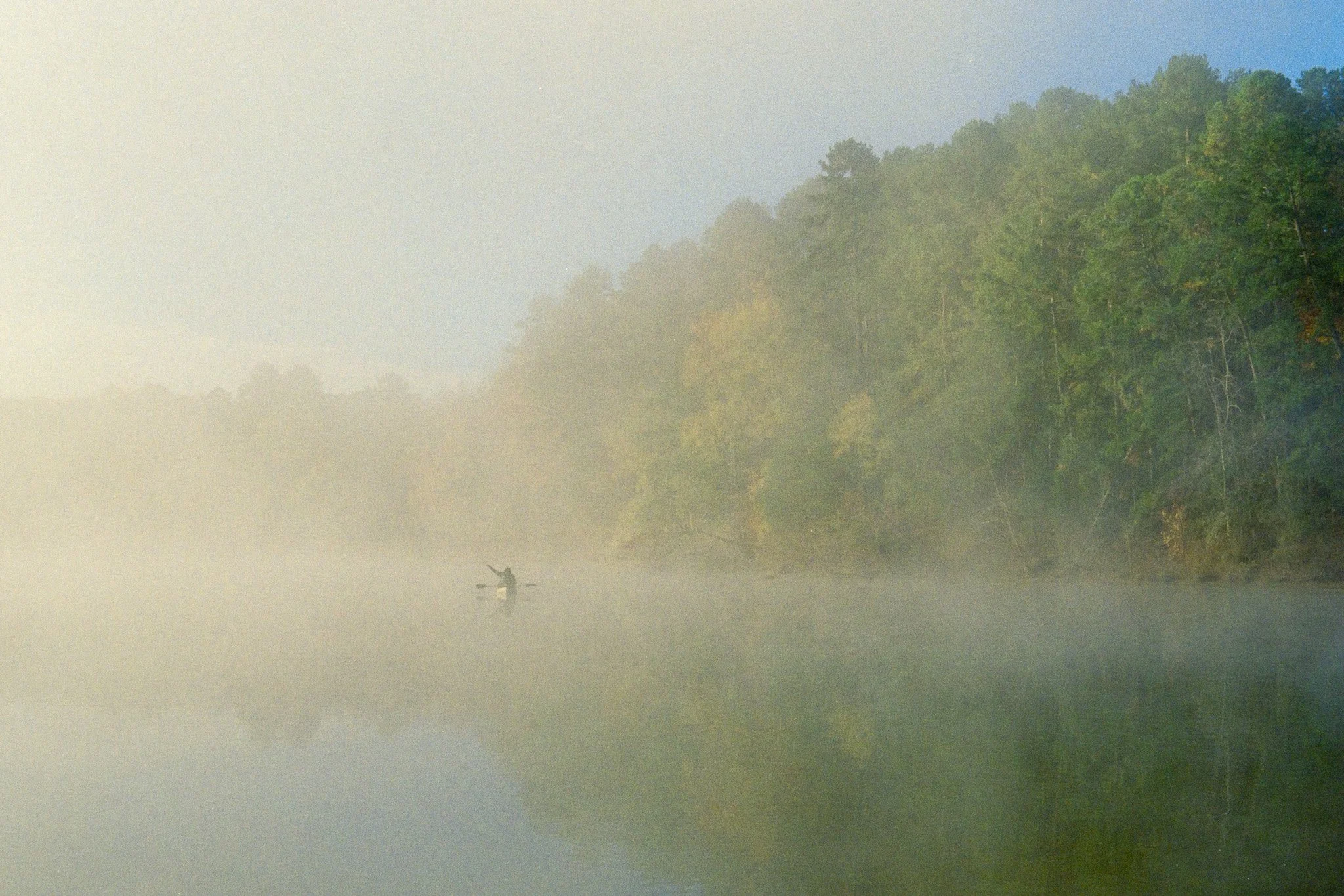 A person kayaking on a misty river with dense green trees on the riverbank.