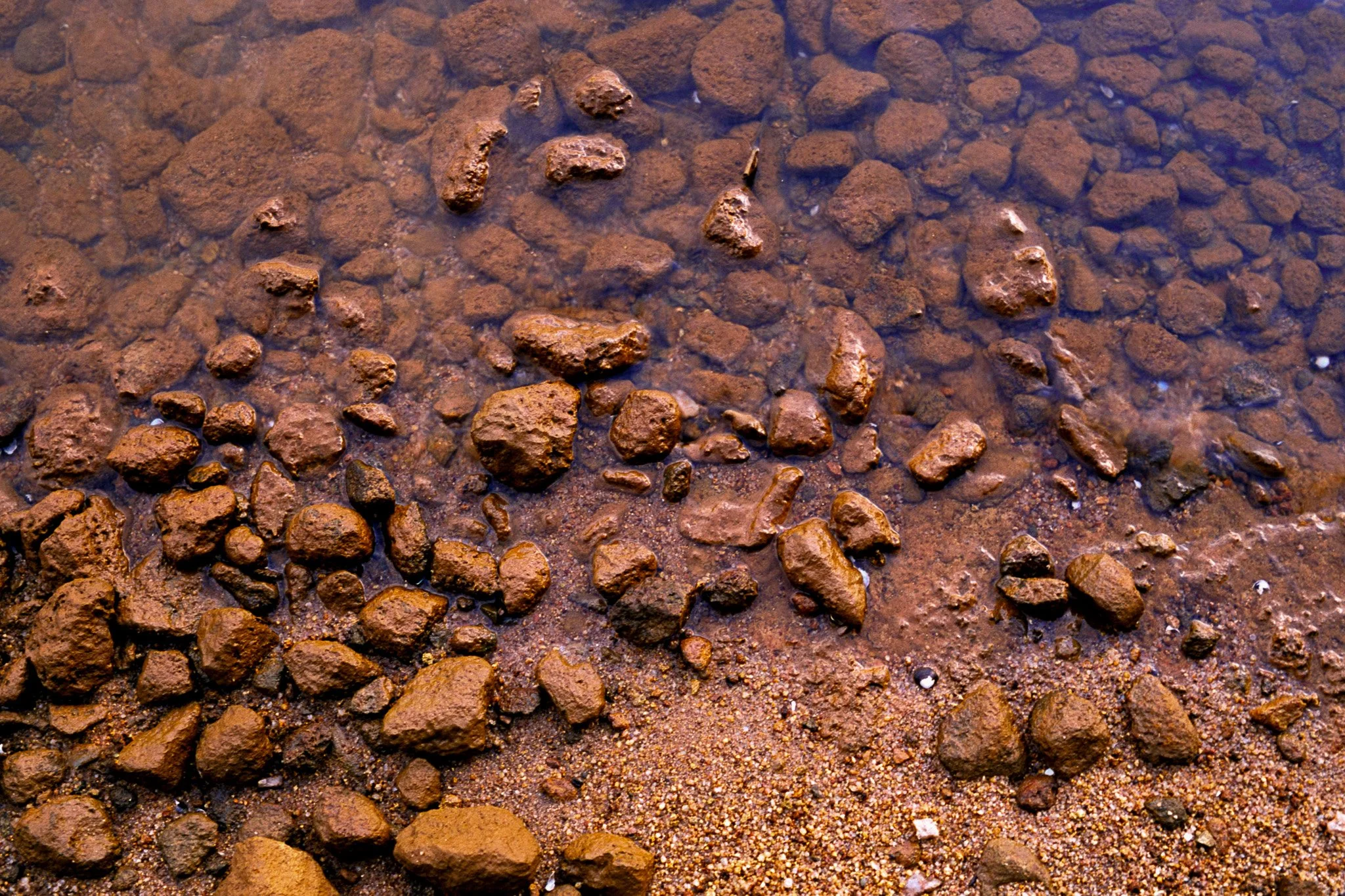Close-up view of wet reddish-brown rocks and pebbles on a sandy surface.