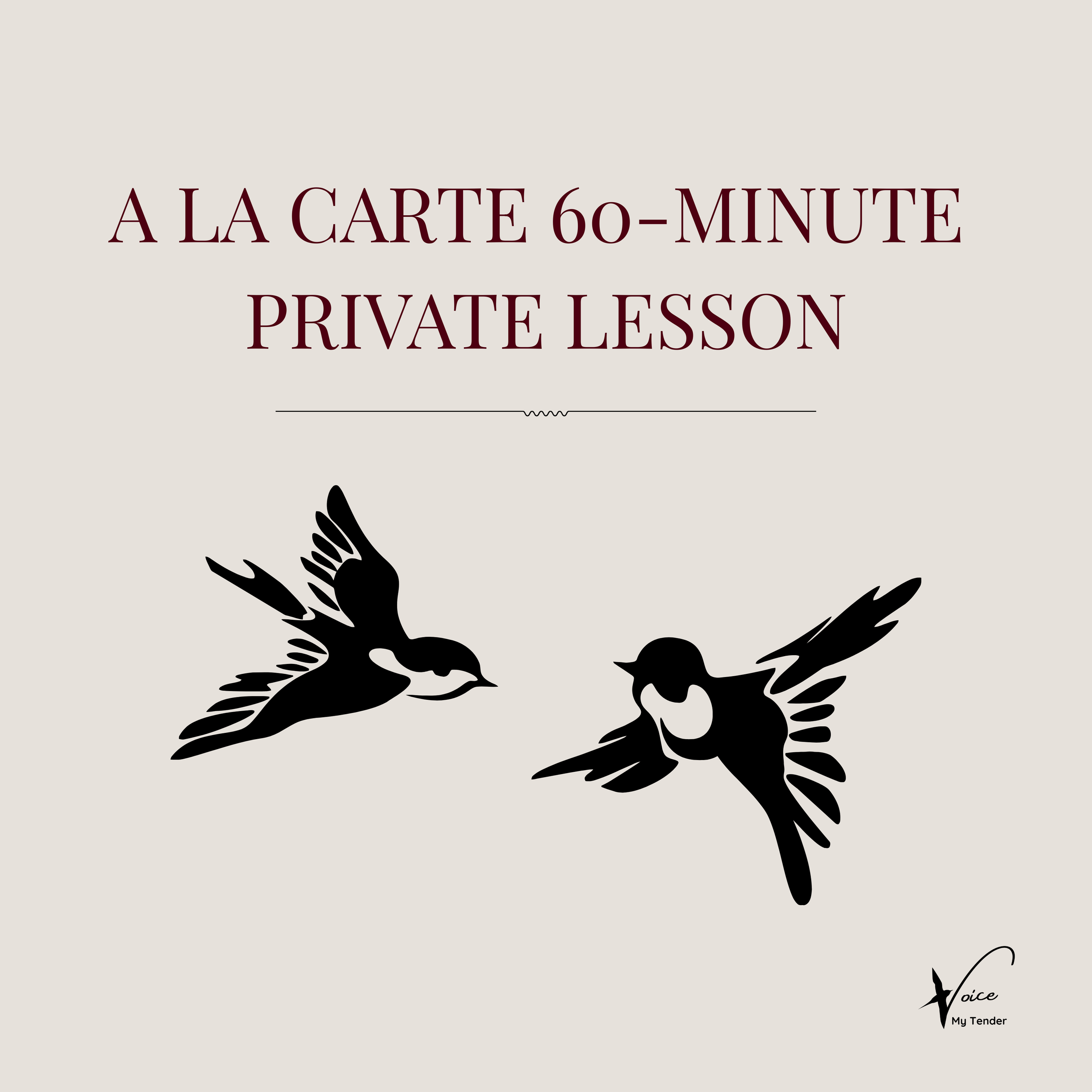 1 x 60 min Private Lesson