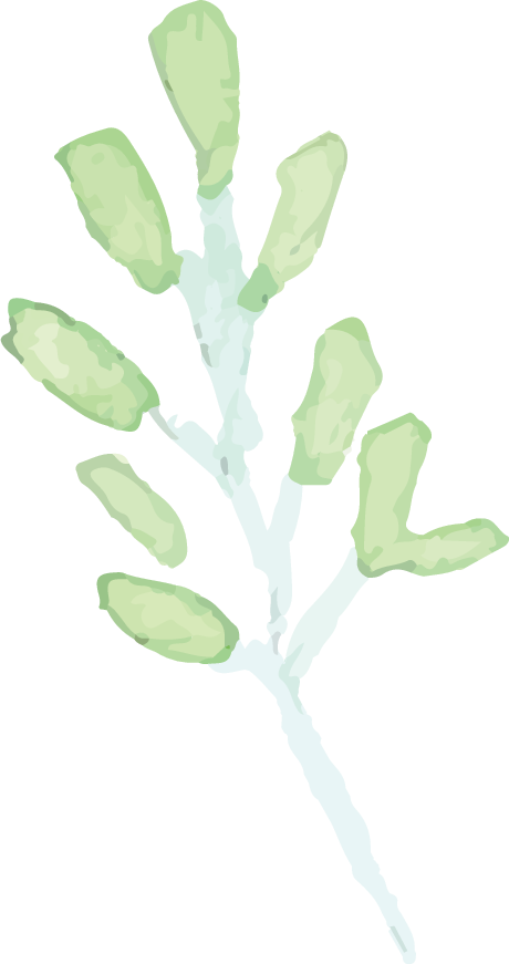 A digitally stylized map showing green areas representing parks or forests, with a white pathway or waterway running through the middle.