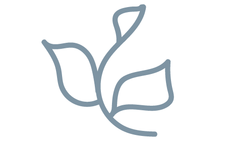 A simple line drawing of a plant with three leaves.