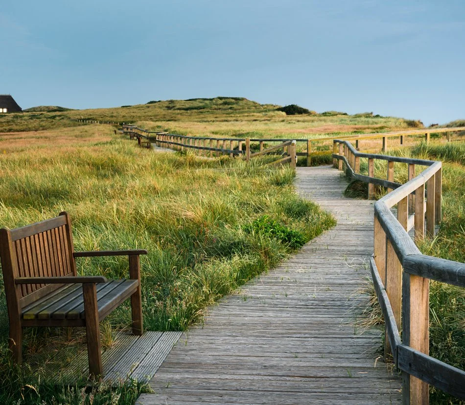 Wooden nature trail with benches and a grassy landscape under a blue sky.