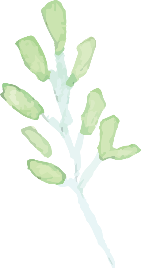 Illustration of a green leafy plant with multiple branches and leaves.