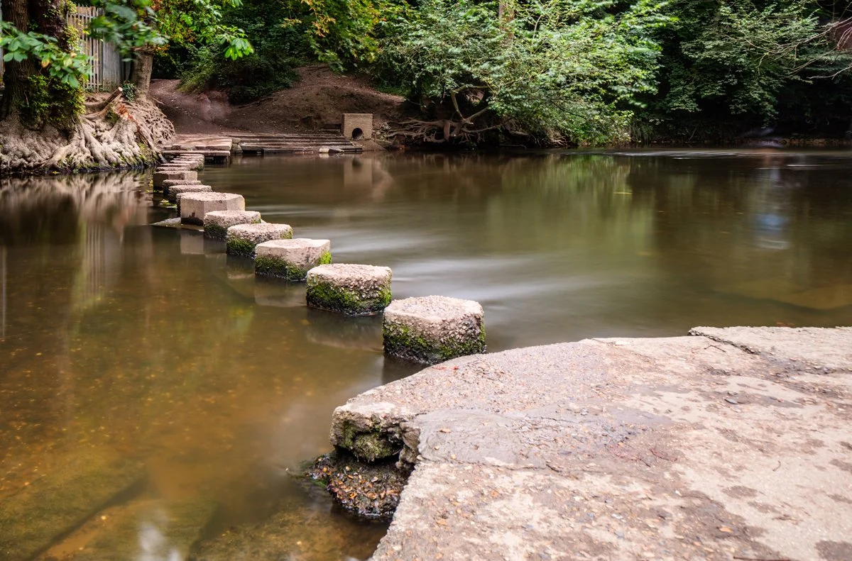 A calm river with a series of stepping stones leading across it, surrounded by lush green trees and foliage.