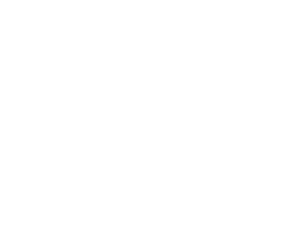 Black background with white text displaying 'rise THERAPY'.