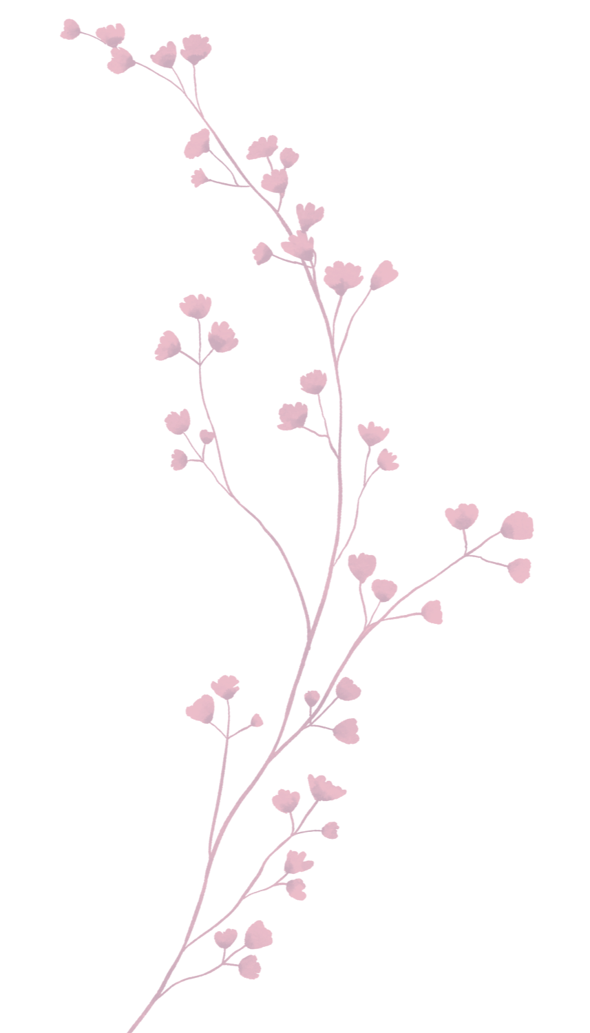 Soft botanical line illustration used as a decorative divider on the embodiment coaching for women page.