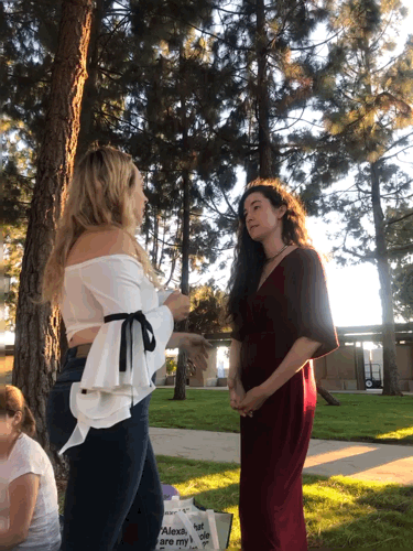 Two women talking  and holding hands outdoors under tall trees