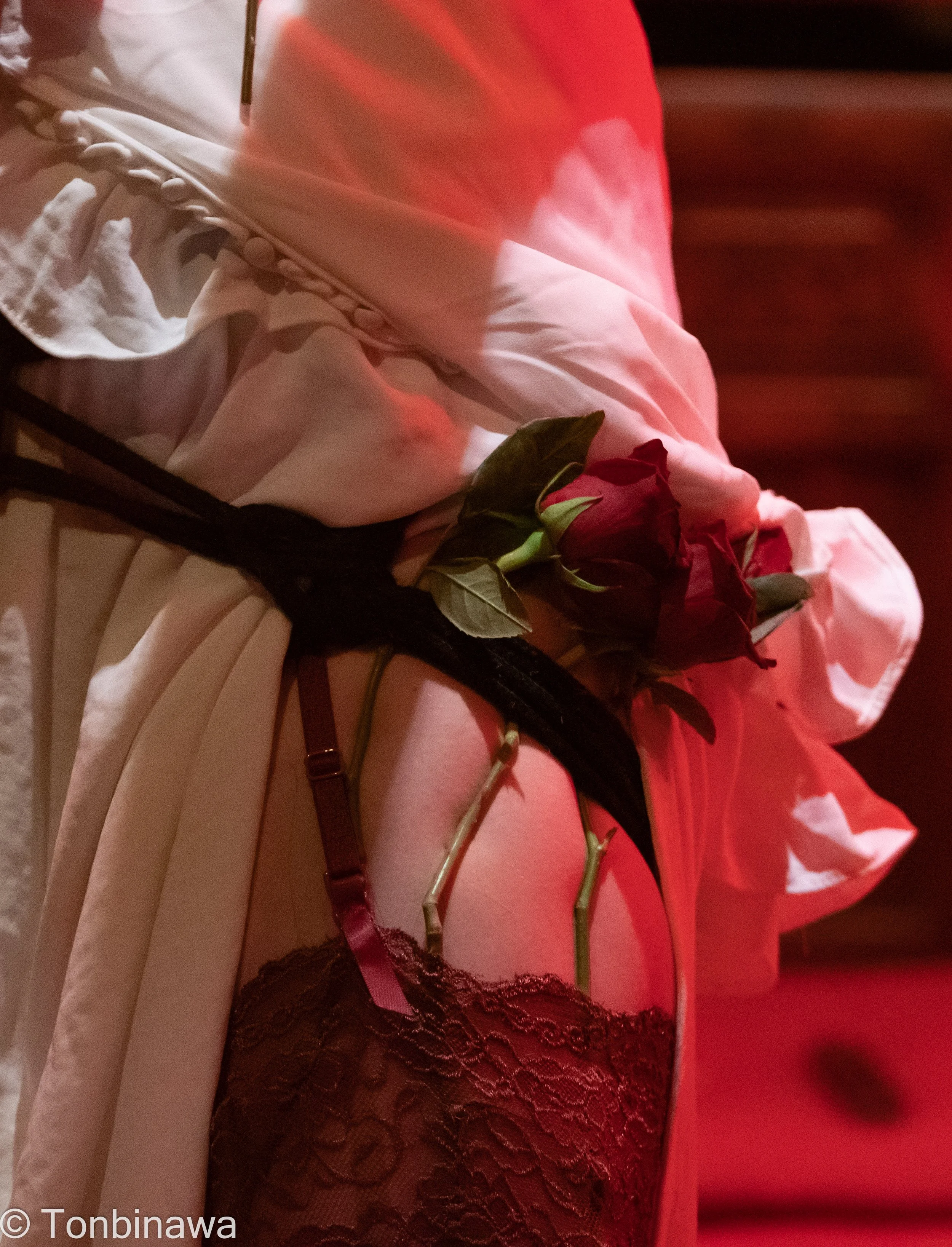 BDSM: A Beginner’s Guide to Kink