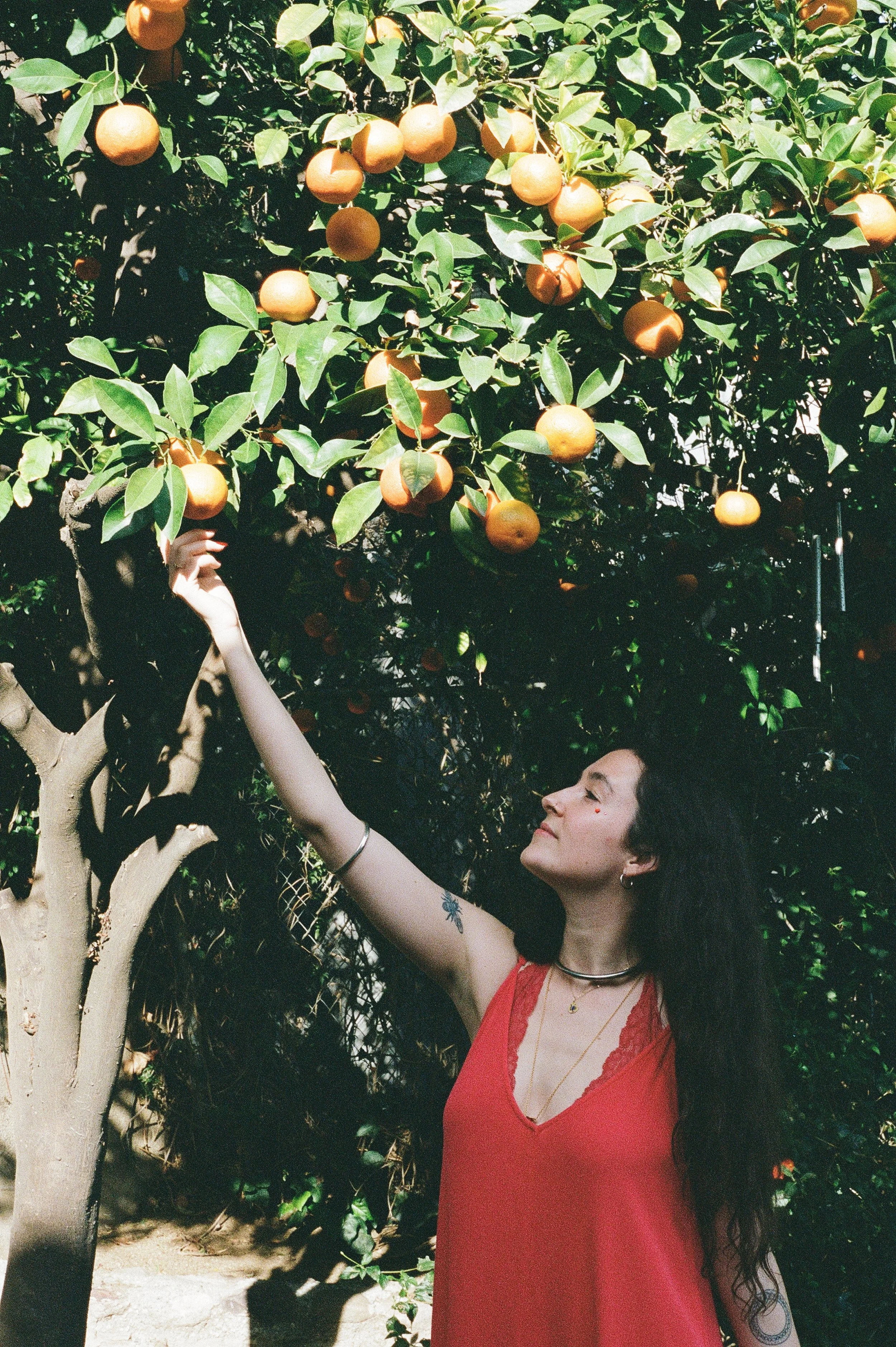 What Is Pleasure-Based Personal Development?