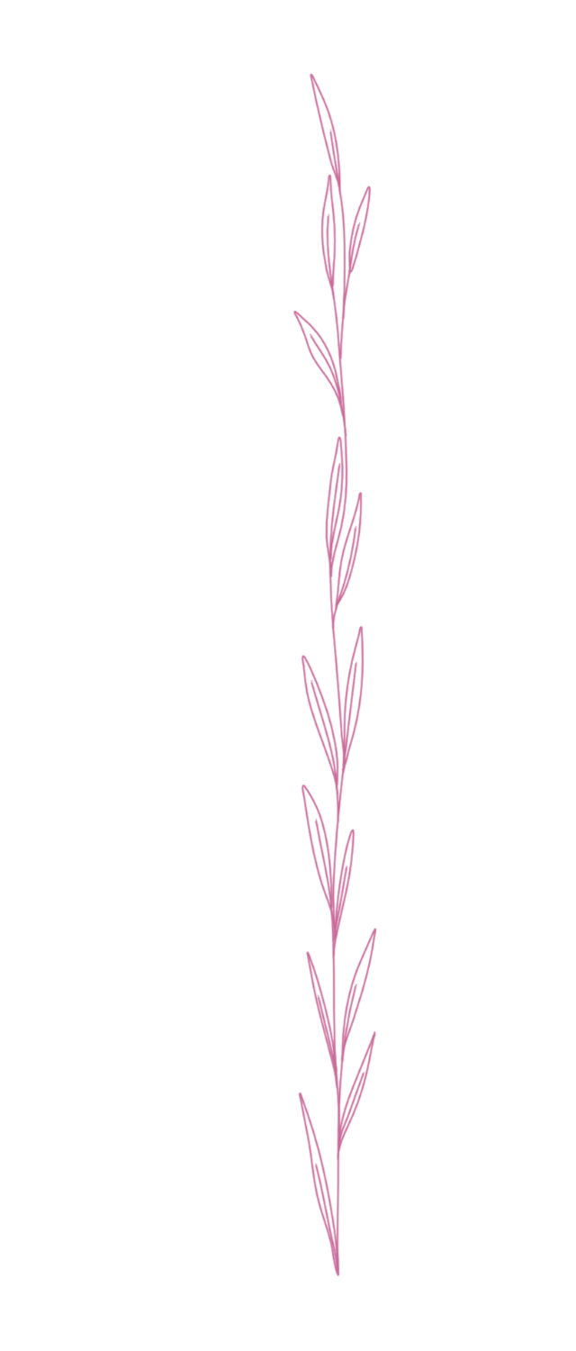 Burgandy illustration of a single tall plant with elongated leaves