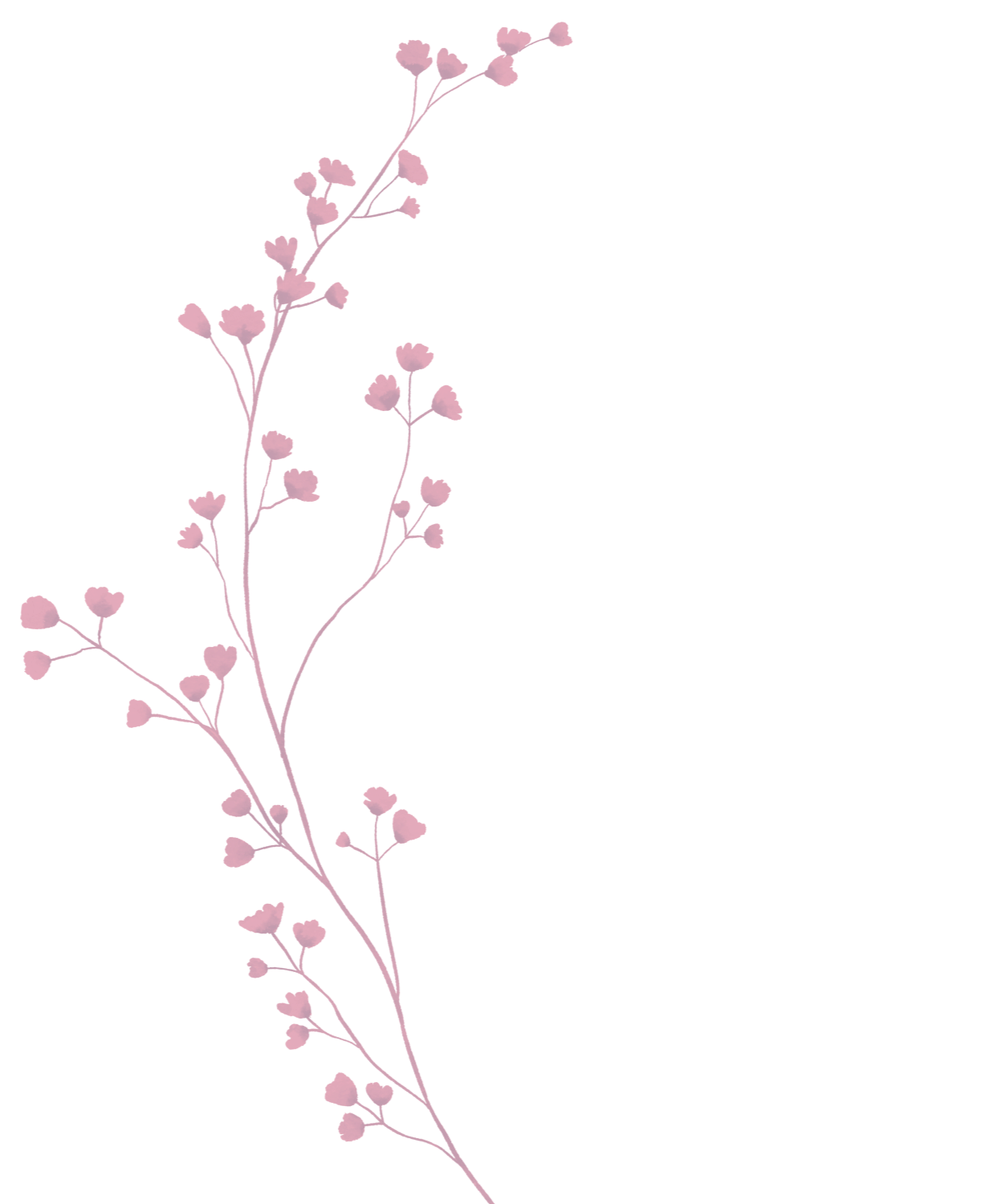 Pink stylized flowering branch