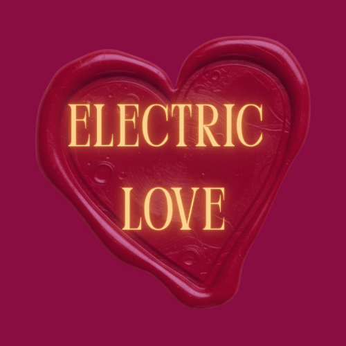 Logo for Online couples mentorship and intimacy coaching online course