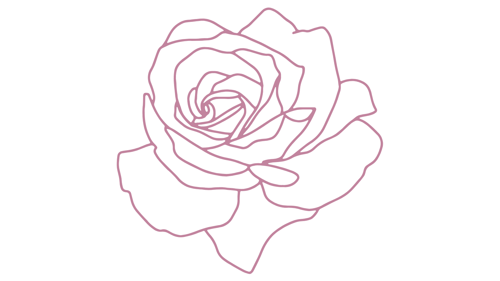 Burgandy line drawing of a rose