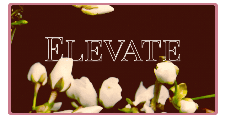 Floral artwork representing the ELEVATE sensual introductory workshop on pleasure and embodiment