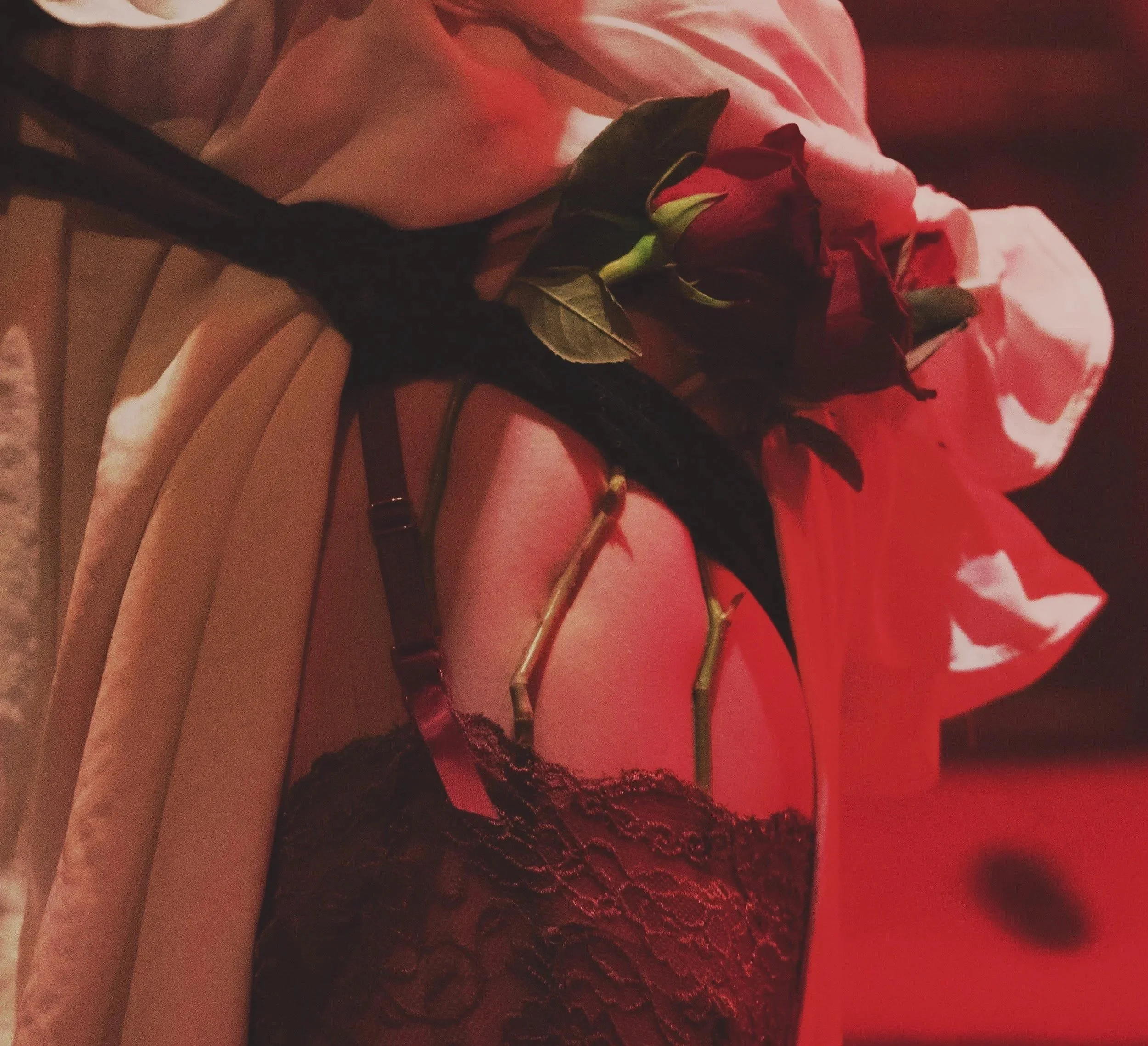 Artistic image of lingerie, rose, and harness symbolising sensual BDSM and kink exploration.