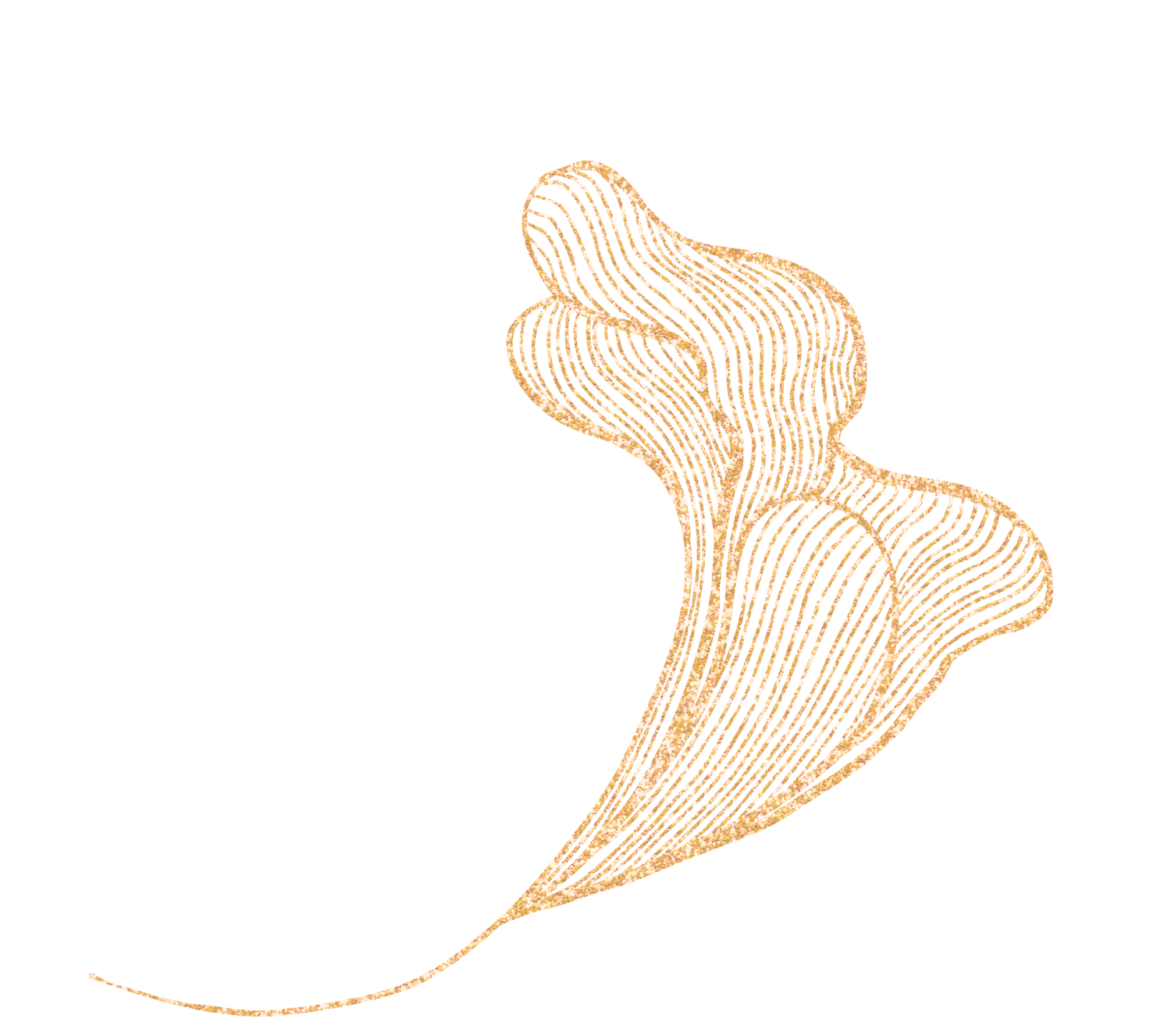 Abstract organic line illustration used as a visual accent between sections