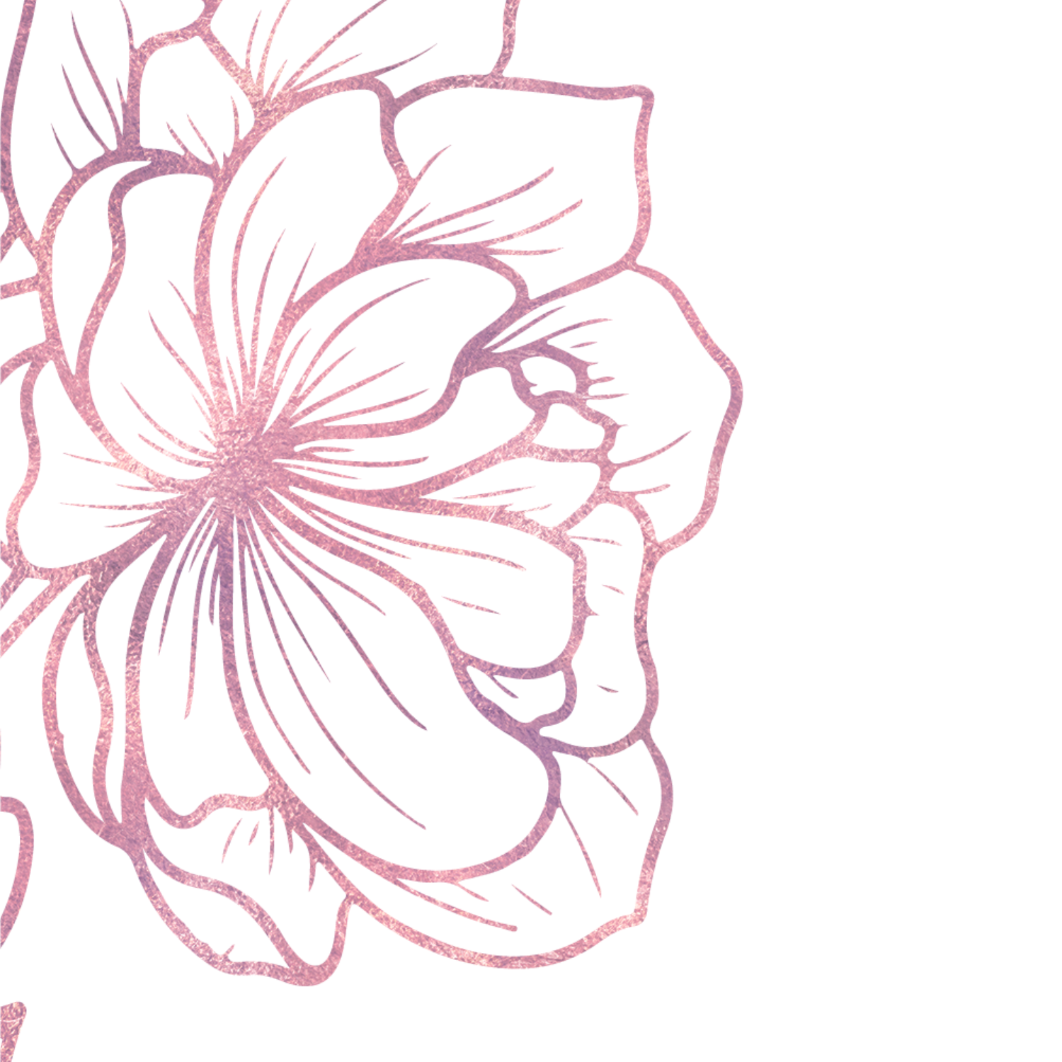 Pink glittery flower line art