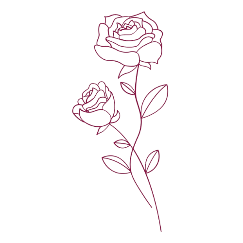 Line drawing in burgandy of a rose with two blooms and several leaves,