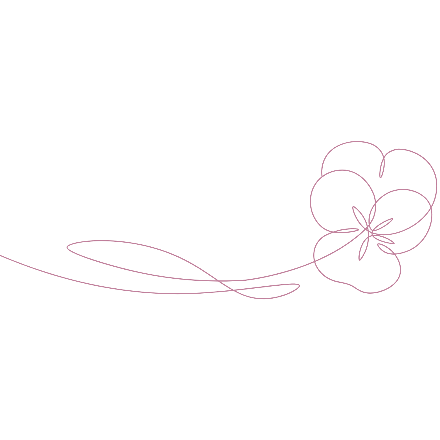 Pink continuous line drawing of a flower with four petals and two leaves