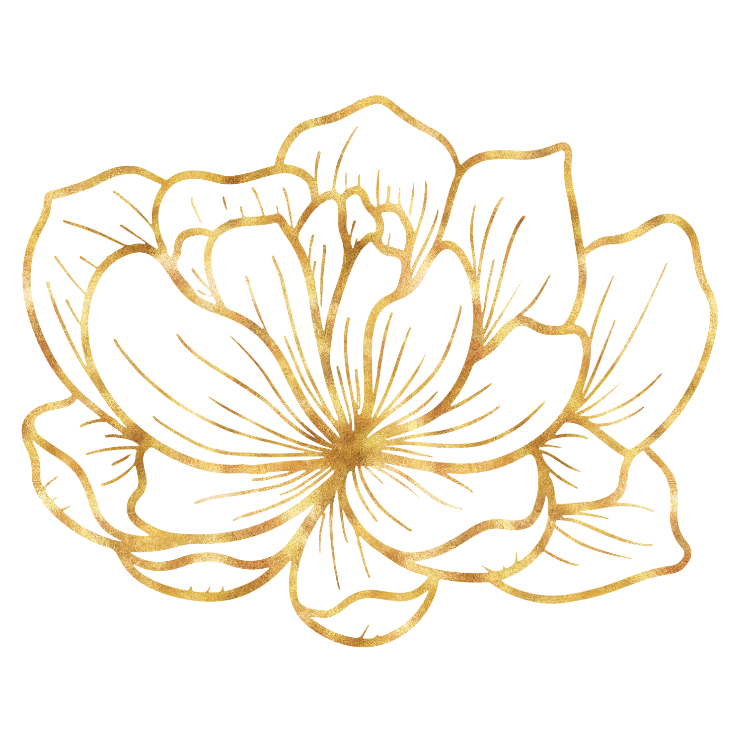 Gold outline drawing of a lotus flower with petals