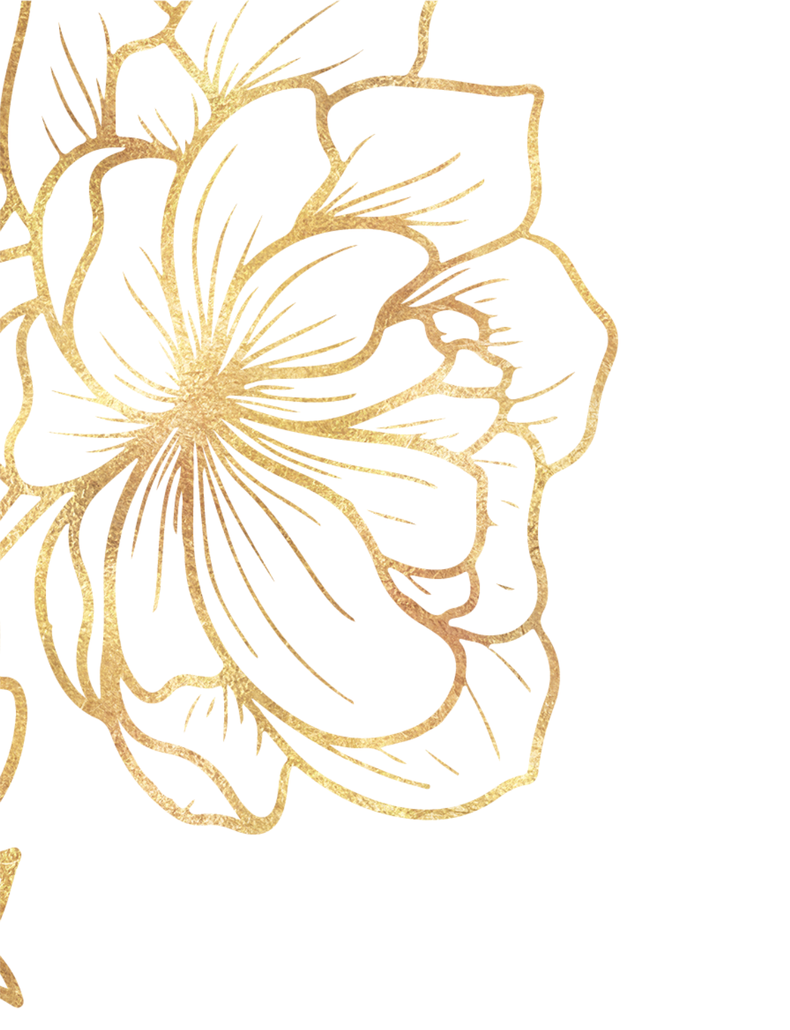 Gold glittery line drawing of lotus flower