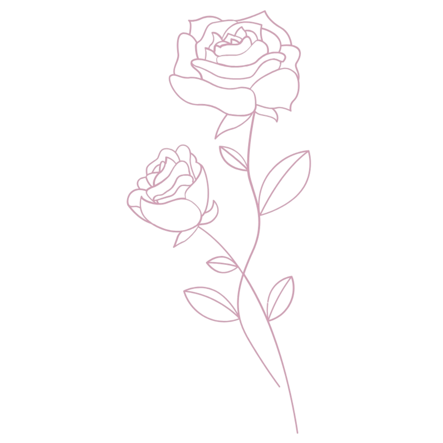 Line-drawn rose representing pleasure, presence, and embodied self-trust