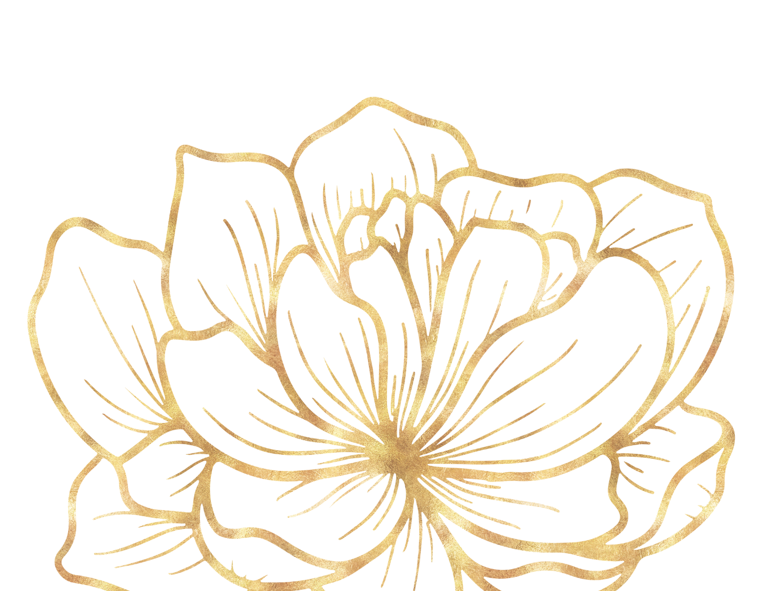 Glittery gold rose line art illustration used as a visual accent on the embodiment coaching page.