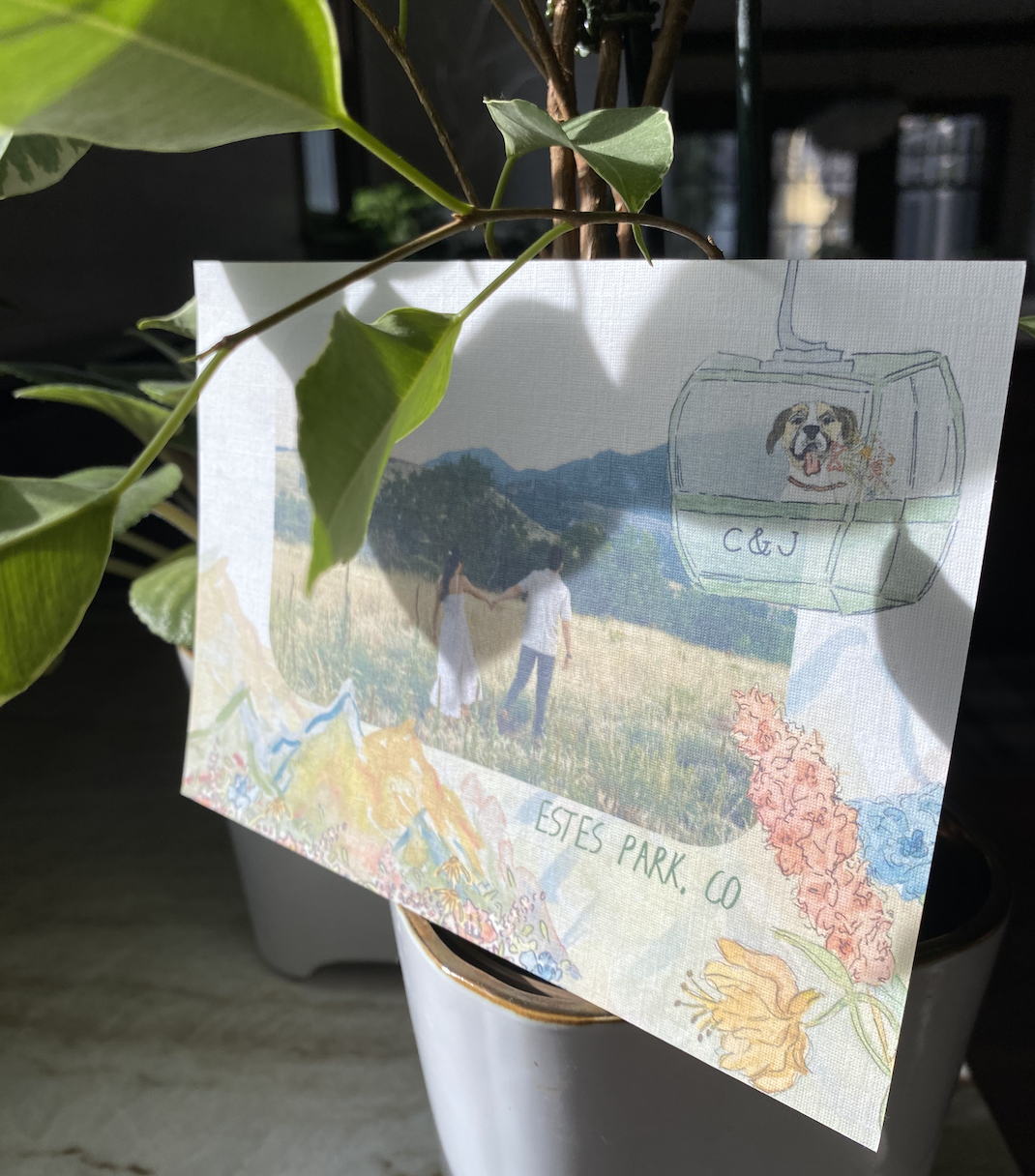 Screen Shot 2025-12-29 at 10.24.58 AM.png