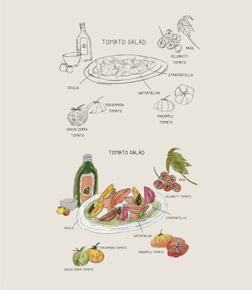 Cookbook Illustrations