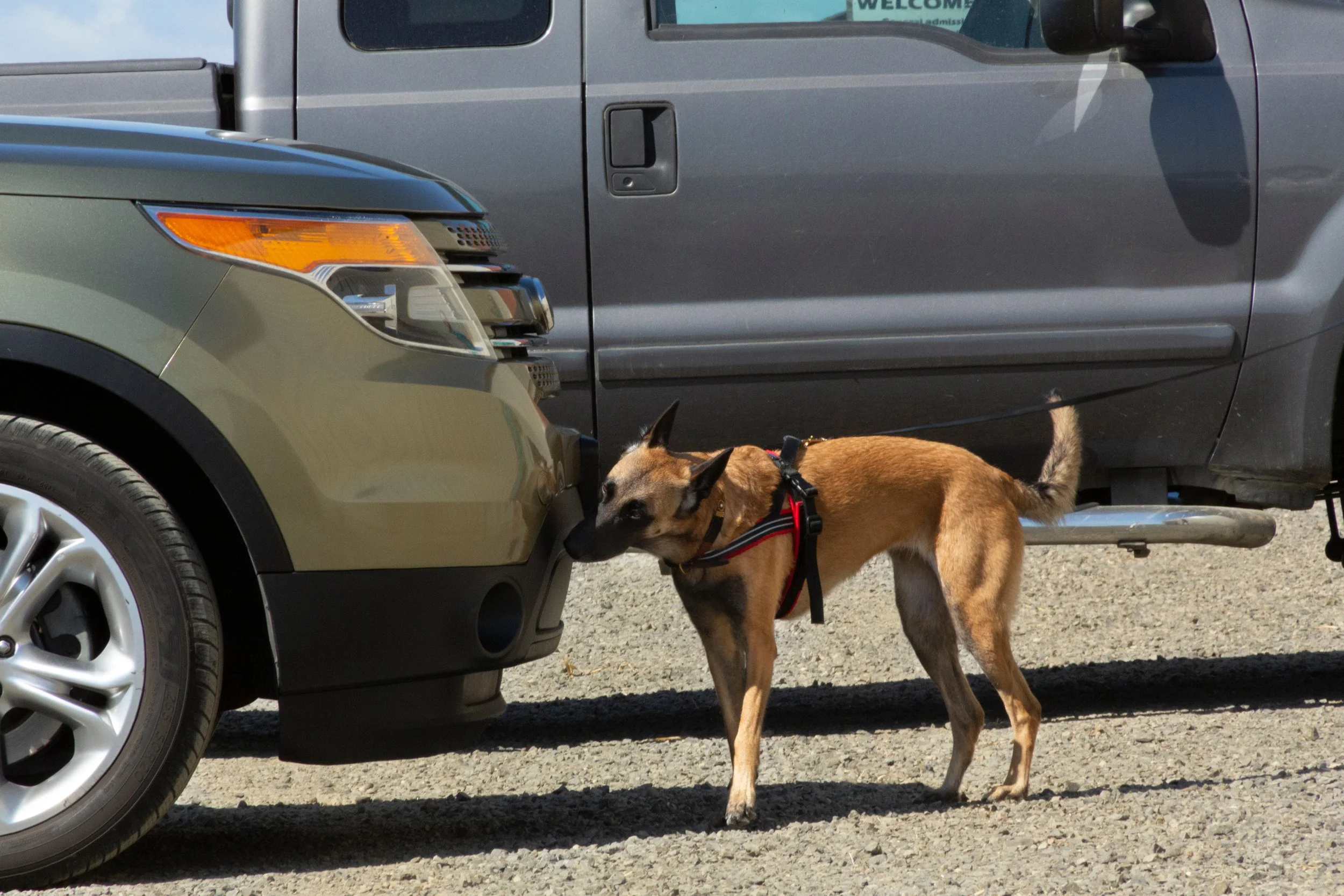 One Time Business Search