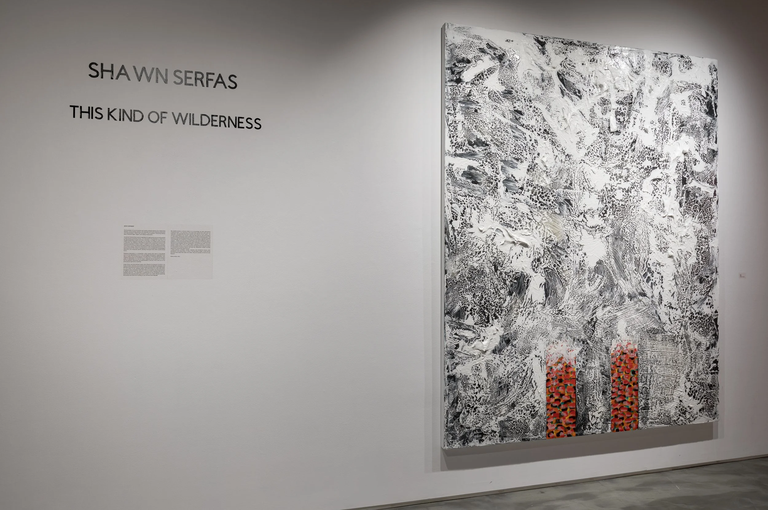 26 Installation Photograph, Yuri Akuney.JPG