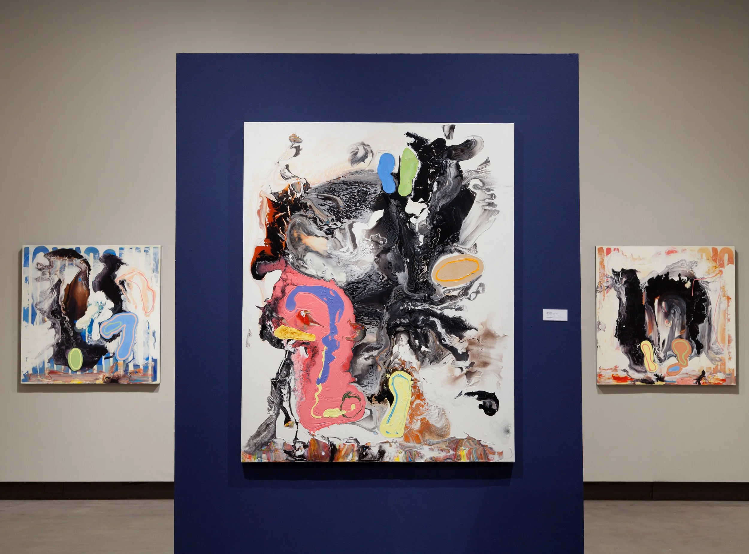 77 Serfas_Re-Picturing The Landscape_PAG_2013_Yuri Akuney.jpg