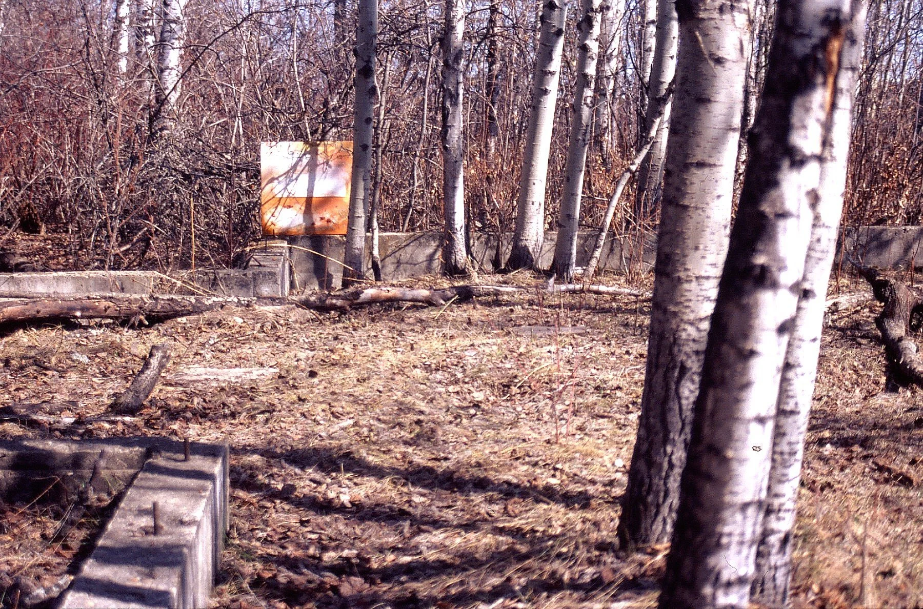 Untitled-Scanned-09.jpg