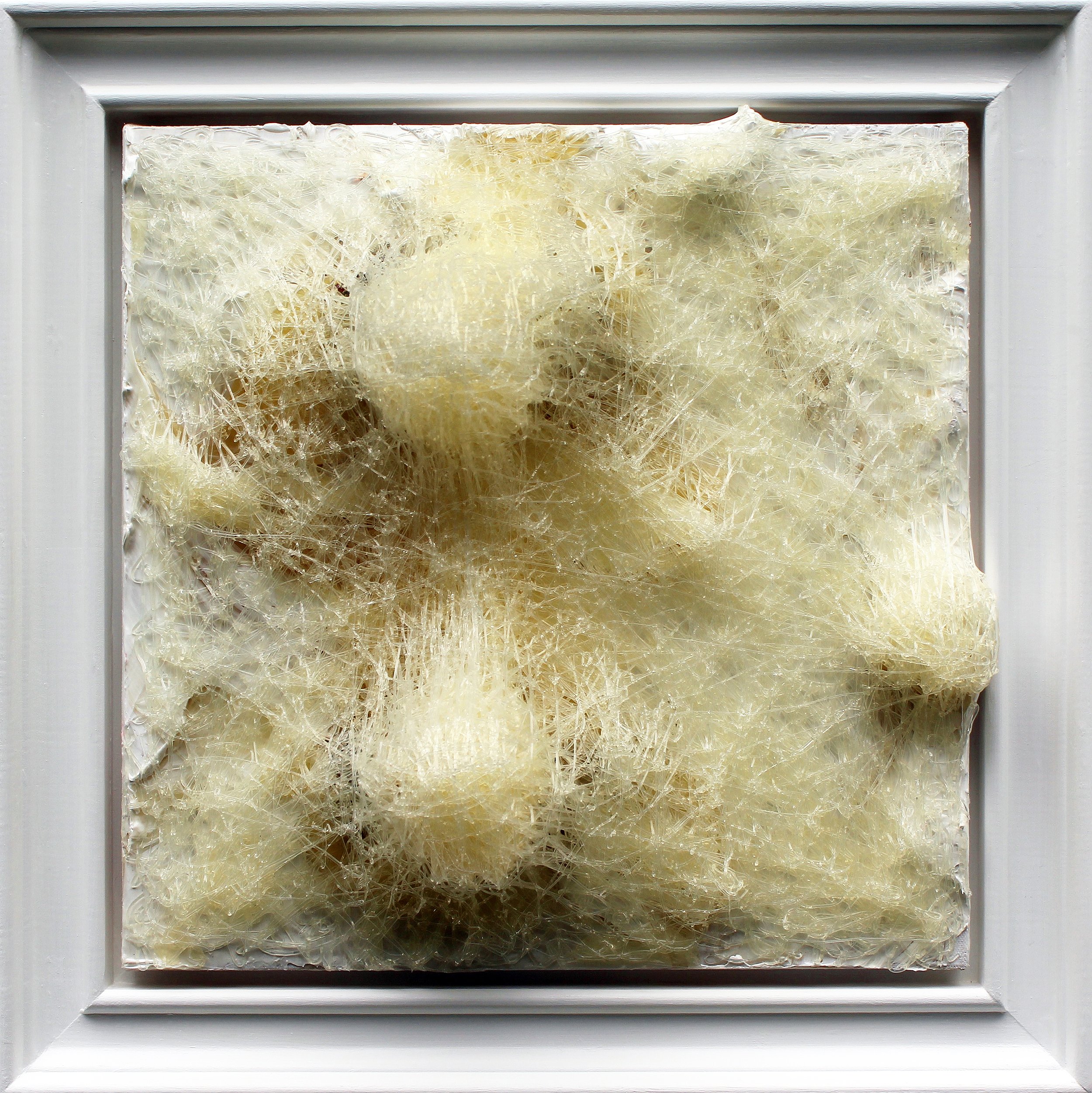 Beneath Us, Portrait of a Mark Series (38 cm x 38 cm x 10 cm) (50 cm x 50 cm x 10 cm) Framed 2015
