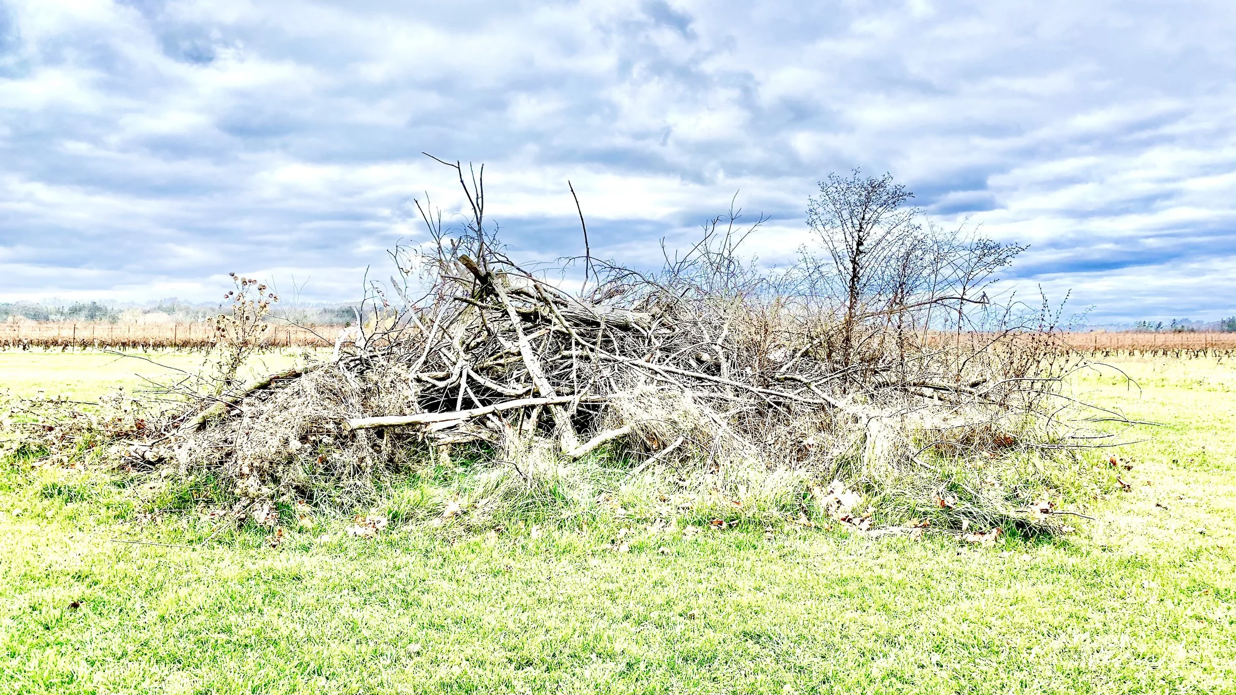23 Serfas_Bundle The Brown Homestead Series_Pigment Print_81 cm x 142 cm_32 inches x 56 inches_2020.jpg
