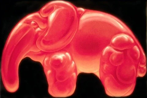 For Web Orange Jujube Elephant.jpg