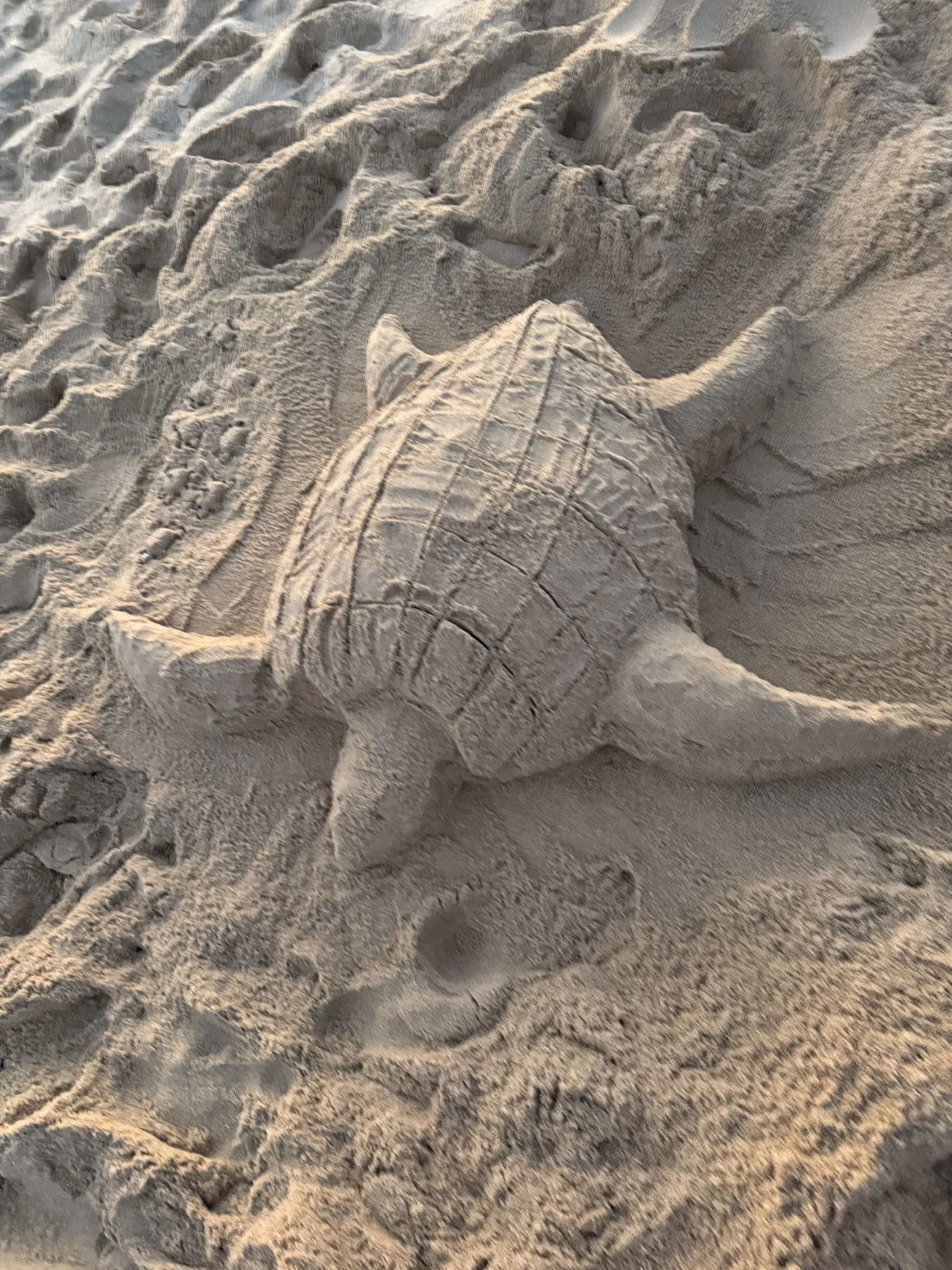 Sand sculpture of a seashell on the beach with footprints around it.