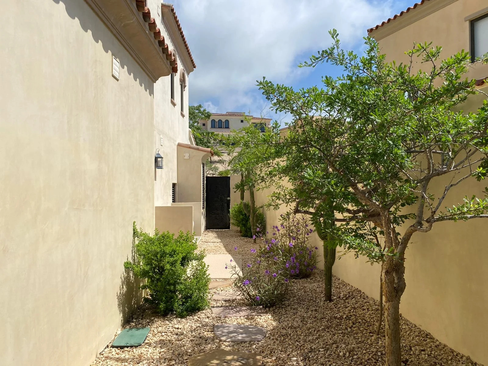 A narrow backyard with a stone pathway, green trees, purple flowering plants, and a beige wall on the left side and right side under a partly cloudy sky.
