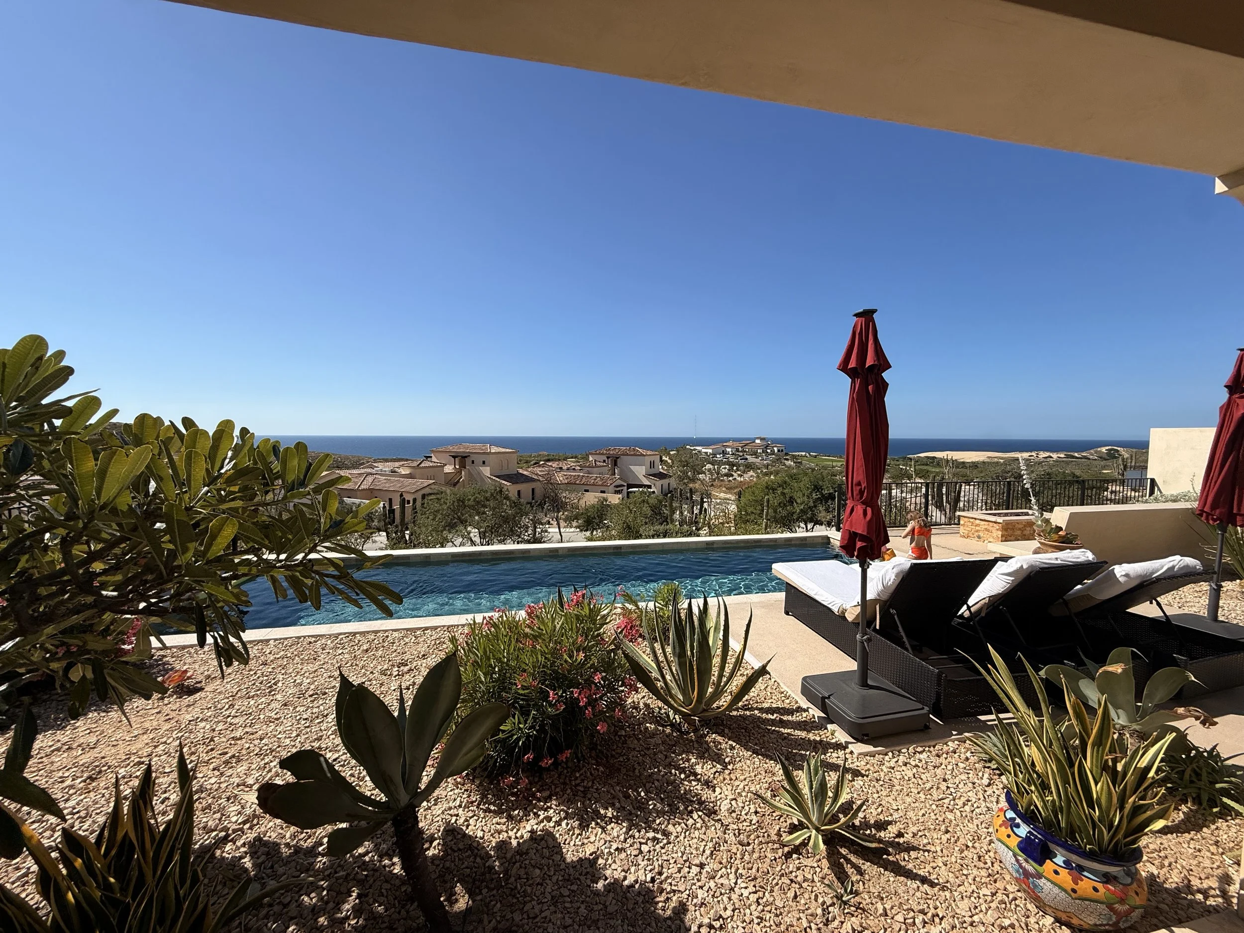 A backyard with a swimming pool, surrounded by plants, with three lounge chairs and red umbrellas, overlooking a neighborhood with houses and an ocean in the distance under a clear blue sky.