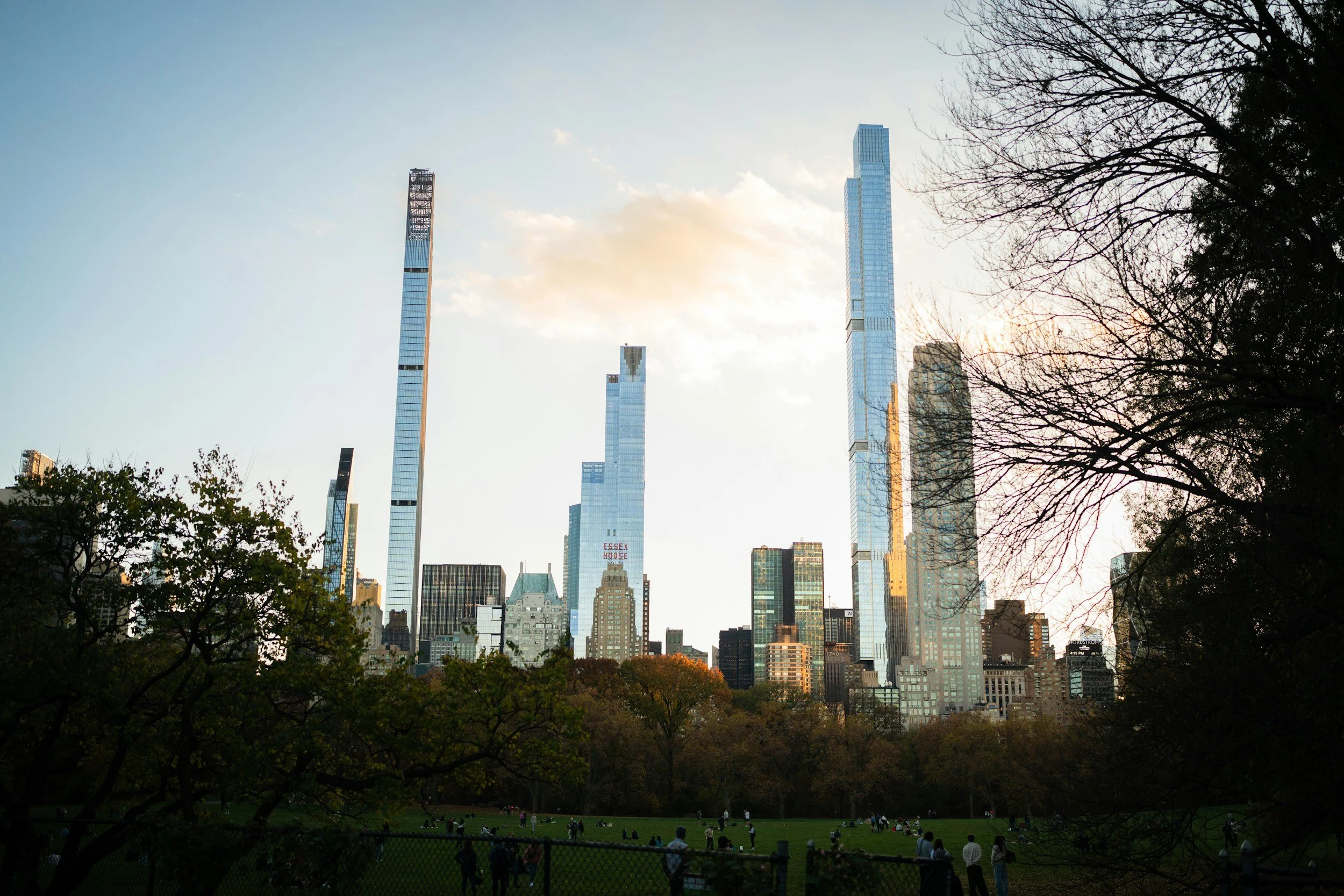 View of Central Park in New York City, representing a calm and supportive setting for therapy.