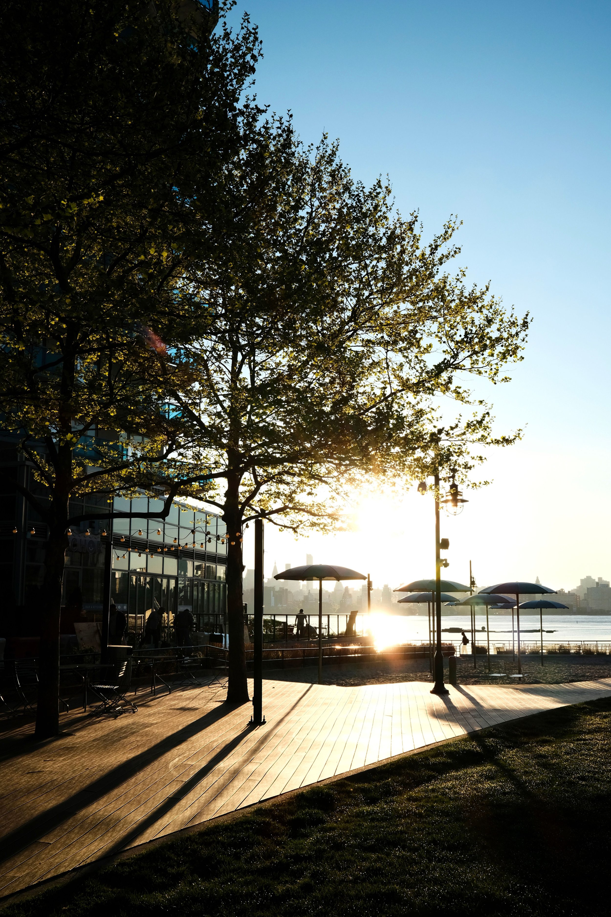 quiet New York City park representing IFS therapy anxiety treatment New York City and Westchester