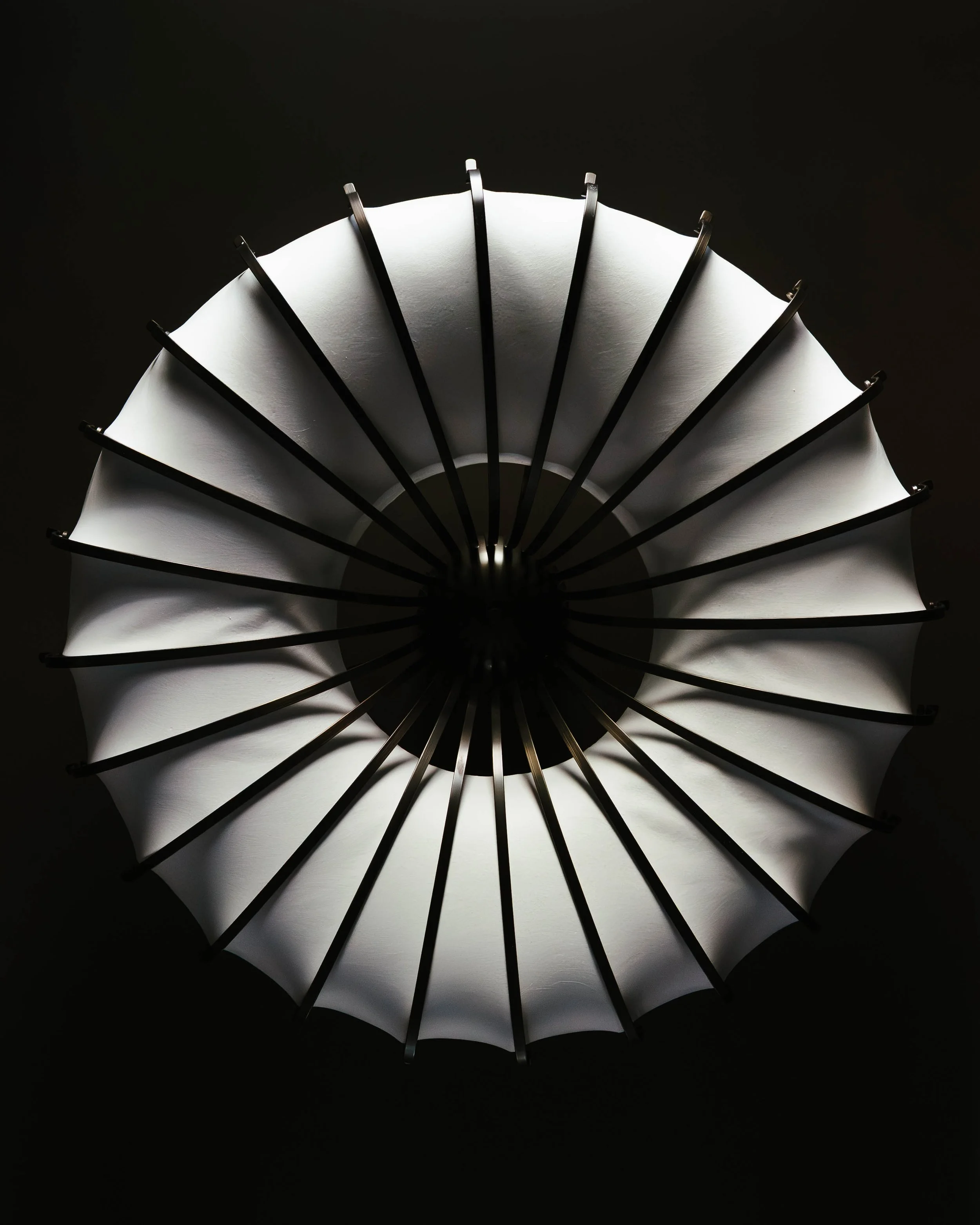 Copy of DSC08256-Enhanced-NR-3.jpg