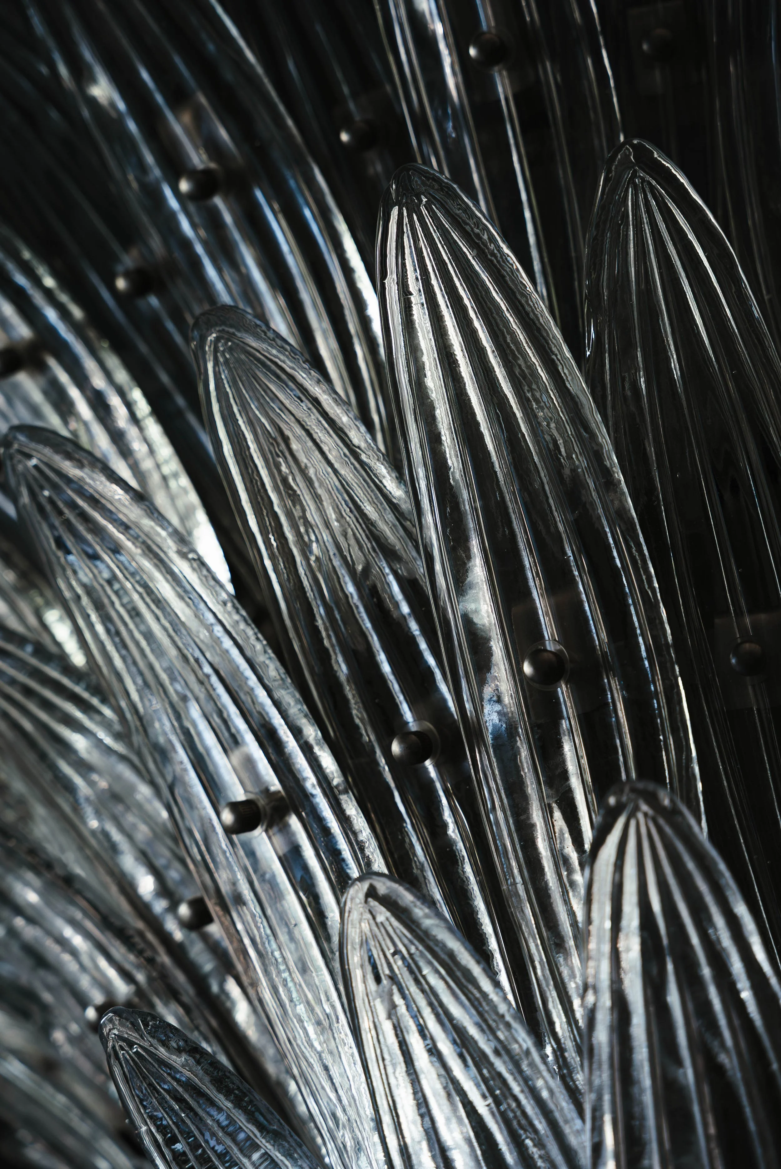 Copy of DSC08610-Enhanced-NR.jpg