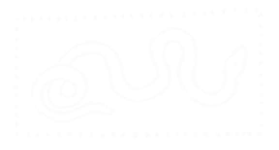 Drawing of a snake with a coiled body and pointed tail, outlined in white on a black background, with a dotted border.