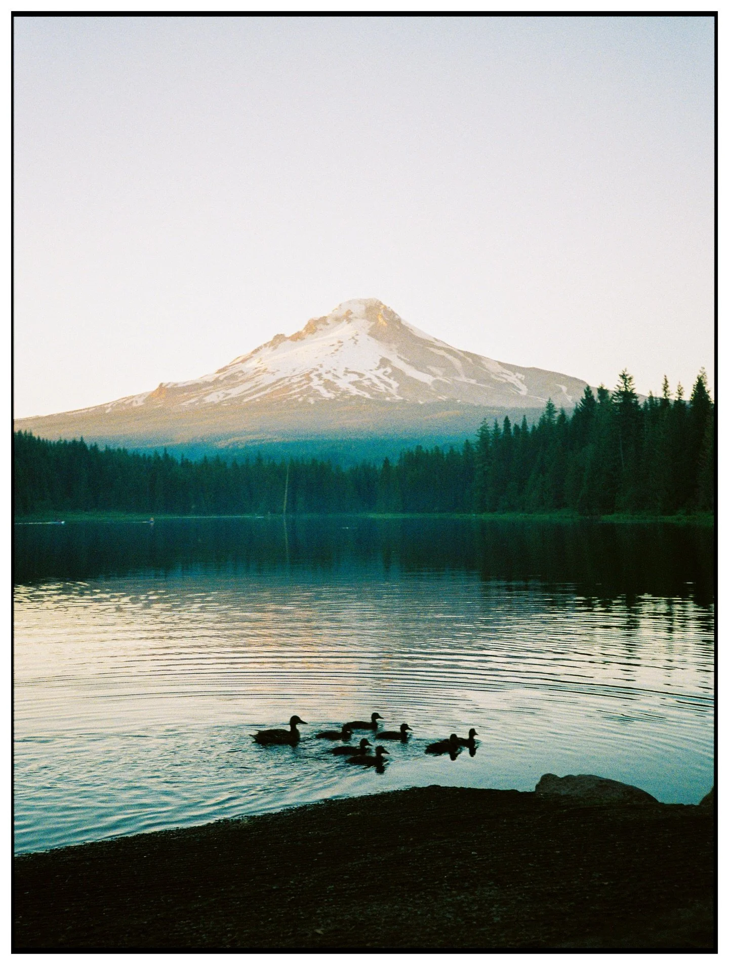 visions of summer in the PNW, shot on various @kodakprofessional film stocks

#madewithkodak #kodakprofessional #filmphotography #portra400 #portra800 

developed and scanned by @thefindlab