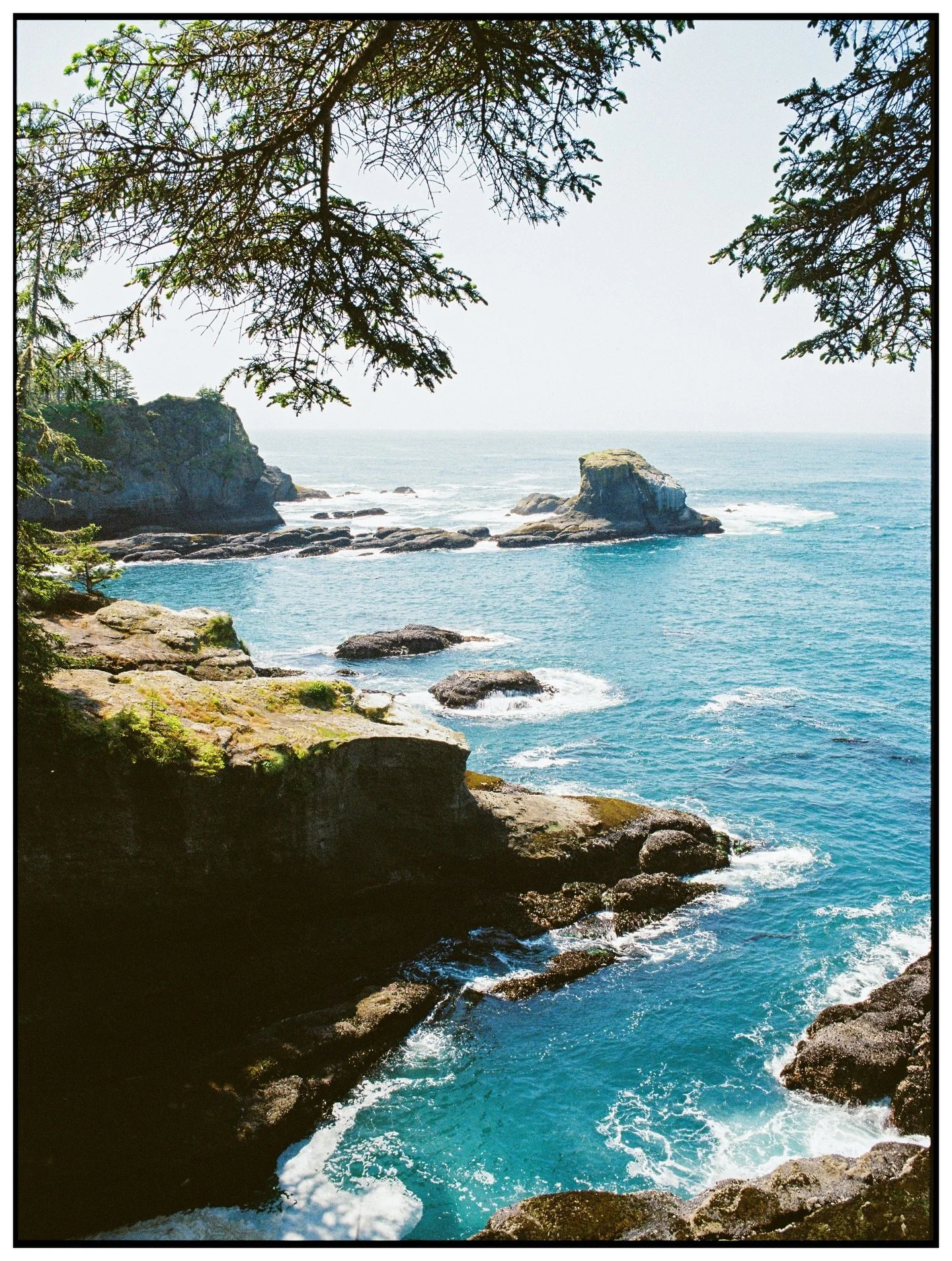 2025 highlights 🍝

#kodakprofessional #madewithkodak #filmphotography 

All film images developed and scanned by @thefindlab 🤝